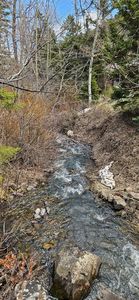 11169 Stemple Pass Rd, Lincoln, MT, 59639