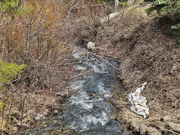 11169 Stemple Pass Rd, Lincoln, MT 59639