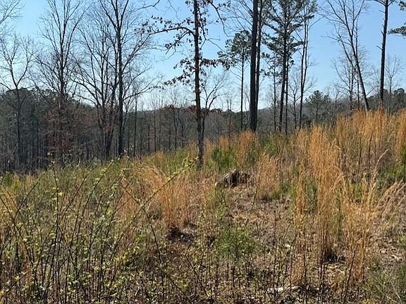 2nd image of LOT 339 Timber Trl