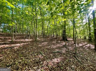 453 Joliet Dr #453, Ellijay, GA 30540