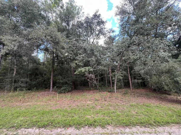 (undisclosed Address), Citrus Springs, FL 34434