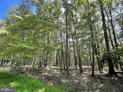 123 Spring Mountain Dr, Zion Grove, PA, 17985