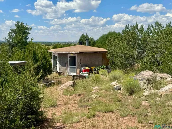 20 Road 6, Pine Hill, NM 87357