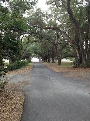 Private drive down to the Gulf Of Mexico