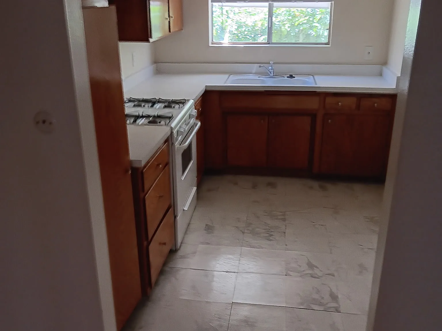 1 bed, $1,950 — Photo 3