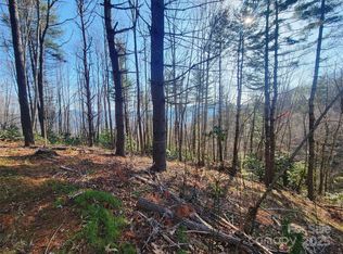 111 Digging Seng Trl #138, Waynesville, NC 28785