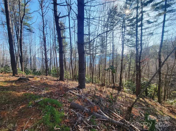 111 Digging Seng Trl #138, Waynesville, NC 28785