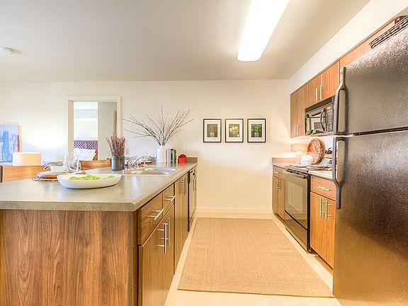 Fully Equipped Kitchens with Black Appliances