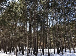 12479 Sundance Dr, Stanwood, MI