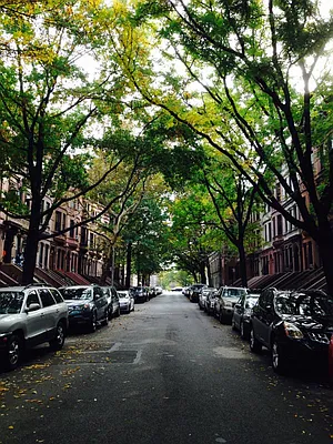 Rented by Bohemia Realty Group | media 6