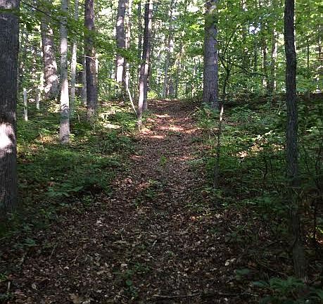 Walking along ridge at rear 