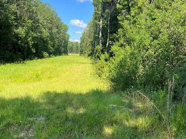 0 Shenandoah Rd, Poplarville, MS 39470