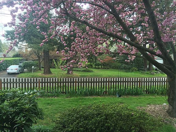 View from the living room.