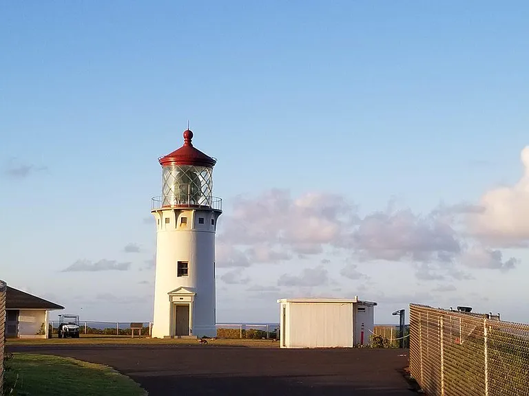 Be sure to get your reservation for the Kilauea lighthouse.
It's a fantastic viewing point and our natural bird nesting area.
Sea birds galore. __