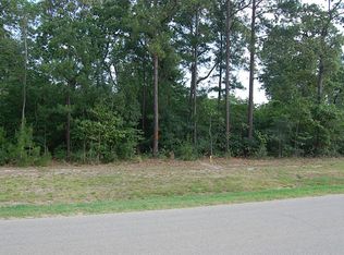 26206 Crown Ranch Blvd, Montgomery, TX 77316