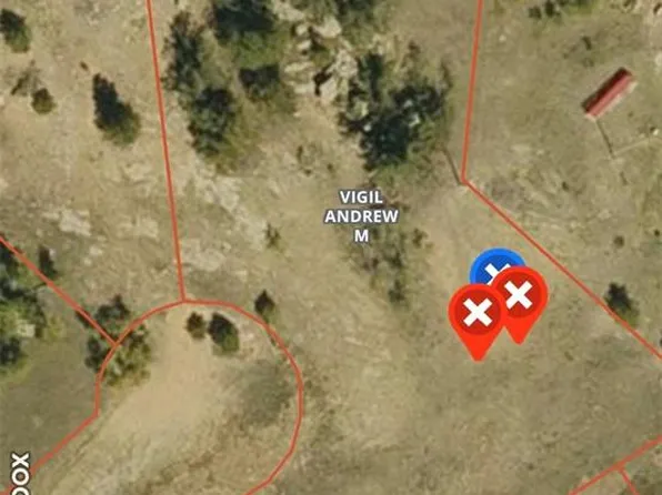 42 Osage Path, Lake George, CO 80827