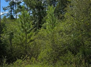 104 Antlers Way, Georgetown, SC 29440