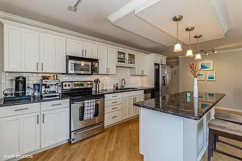 1360 N Sandburg Ter #701 Photo 1