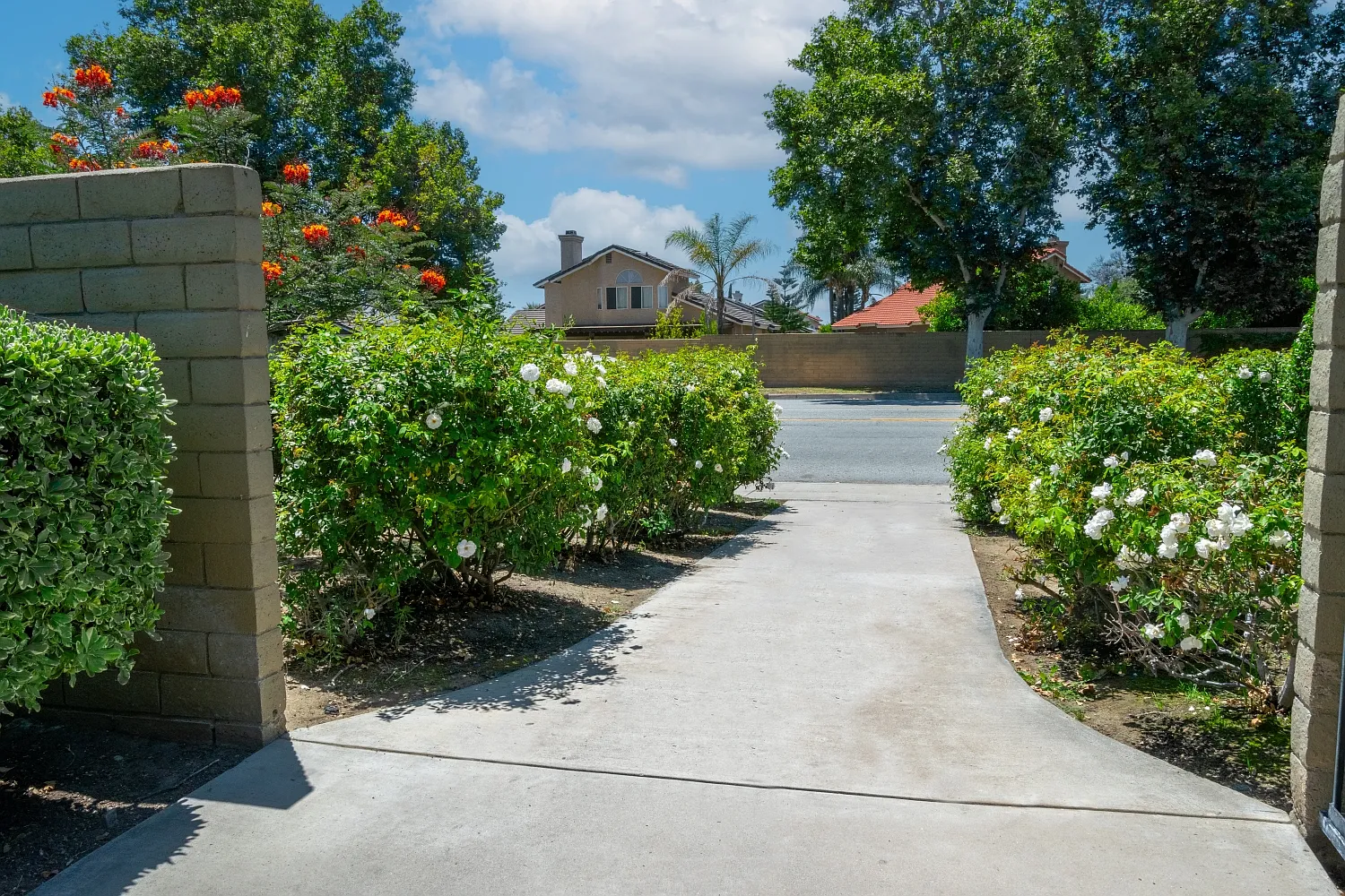 Vista View Apartments — Photo 2