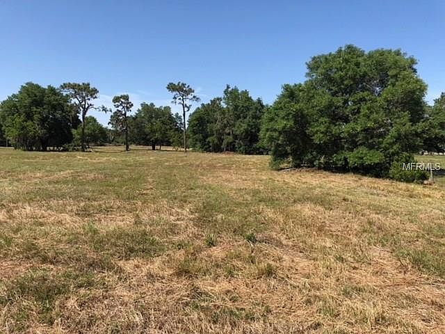 1st image of 181 Palmetto Palm Dr