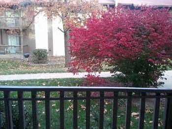 1st image of 443 W 104th St APT B