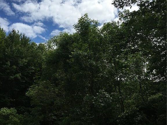 3rd image of Benson Ave