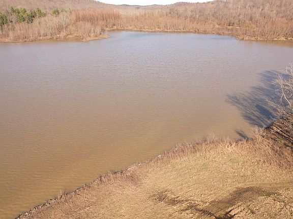 5th image of Lily Rd