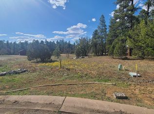 2541 S Pinegrass Rd, Show Low, AZ 85901