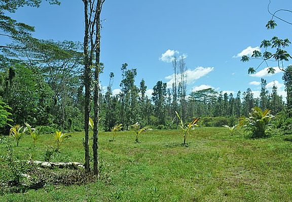 5th image of 14th Ave Lot 999