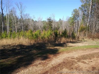 Tbd Hemp St, Robbins, NC, 27325