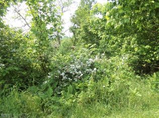 LOT 63 Horseshoe Farm Rd, Pembroke, VA 24136