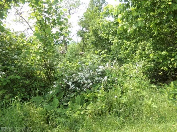 LOT 63 Horseshoe Farm Rd, Pembroke, VA 24136