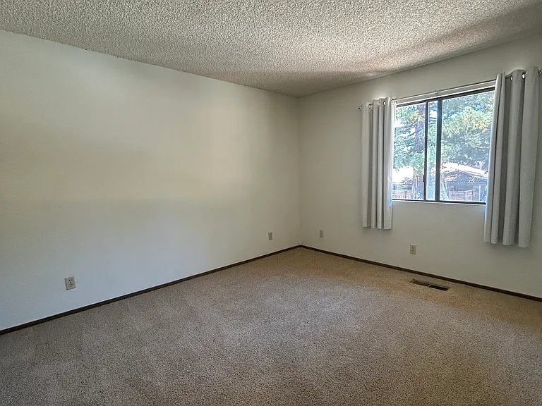 136 Peach Ter — Photo 15