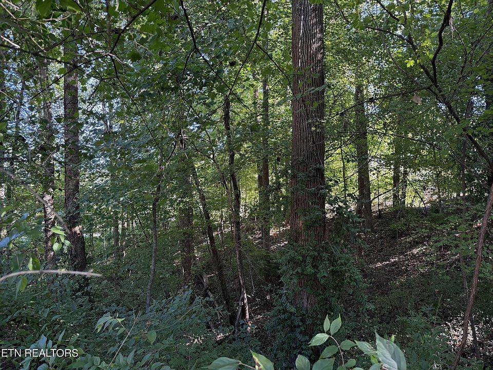 1st image of 0 Flint Rd