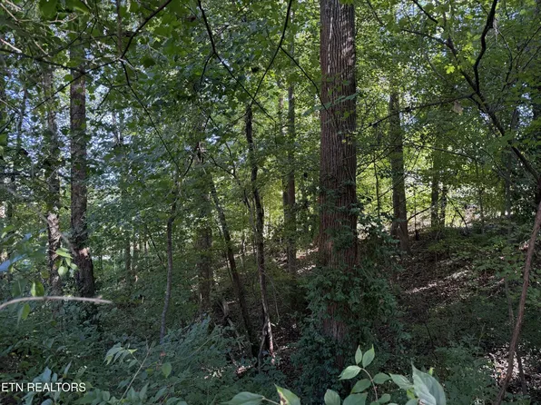 0 Flint Rd, Knoxville, TN 37921