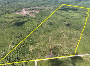 Lost Indian Camp Rd, Huntsville, TX 77320