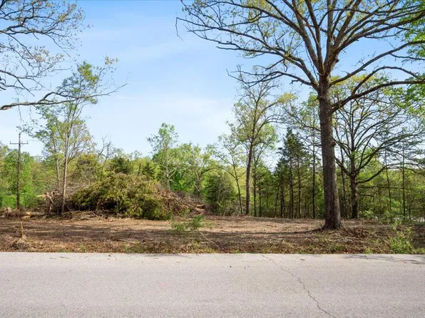 250 Vin Villa, Forsyth, MO 65653