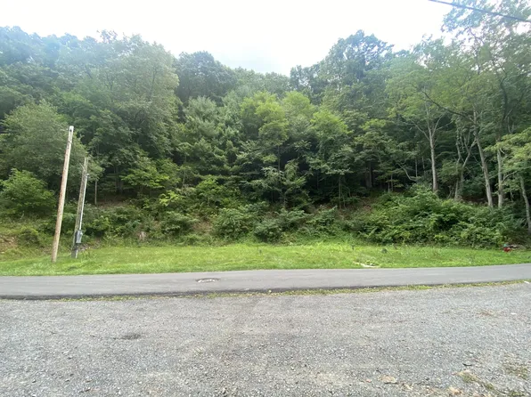 427 4th Ave, Marlinton, WV 24954