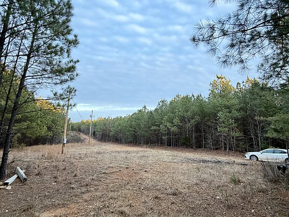 36th image of 1 Roan Creek Rd