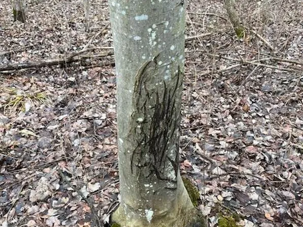 18 ACRES M 65, Twining, MI 48766