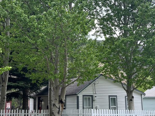 913 Griffith St, Georgetown, CO 80444