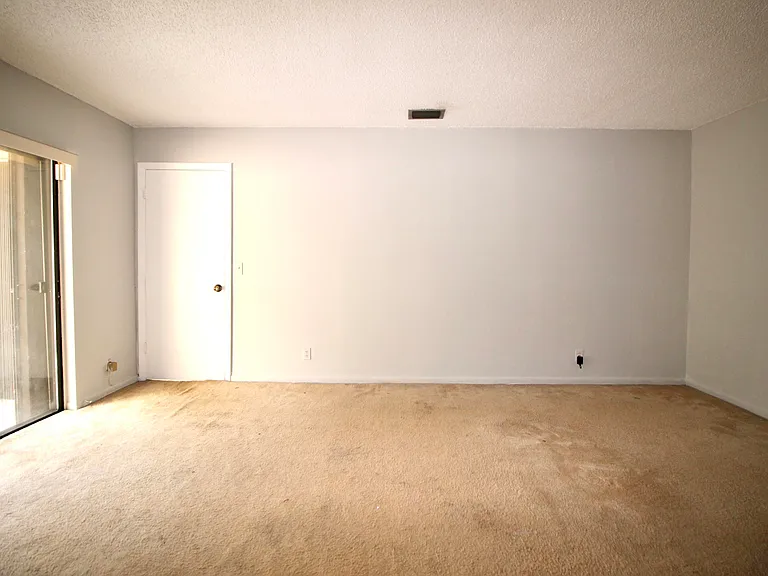 6287 Scotch Pine Ln — Photo 14