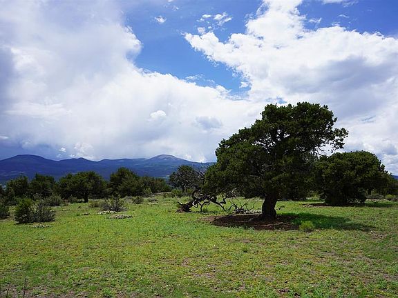 2nd image of 704 W Pfieffer Loop