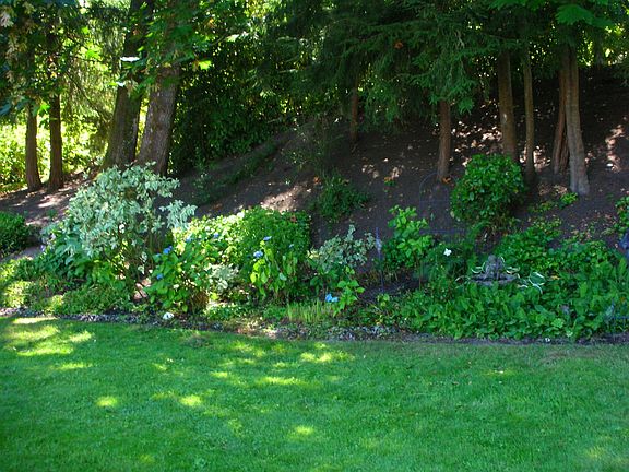 Upper Back Lawn