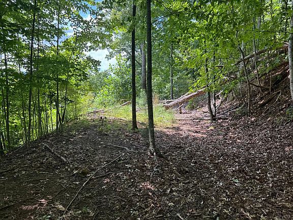 4th image of 2 & 7 Ivy Ln