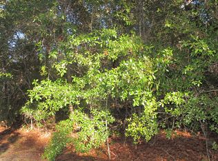 740 Furnie Hammond Rd, Clarendon, NC 28432