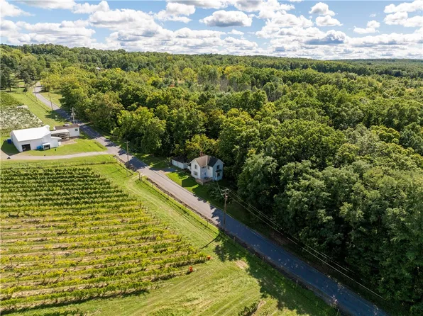 10121 Hyatt Hill Rd, Dundee, NY 14837