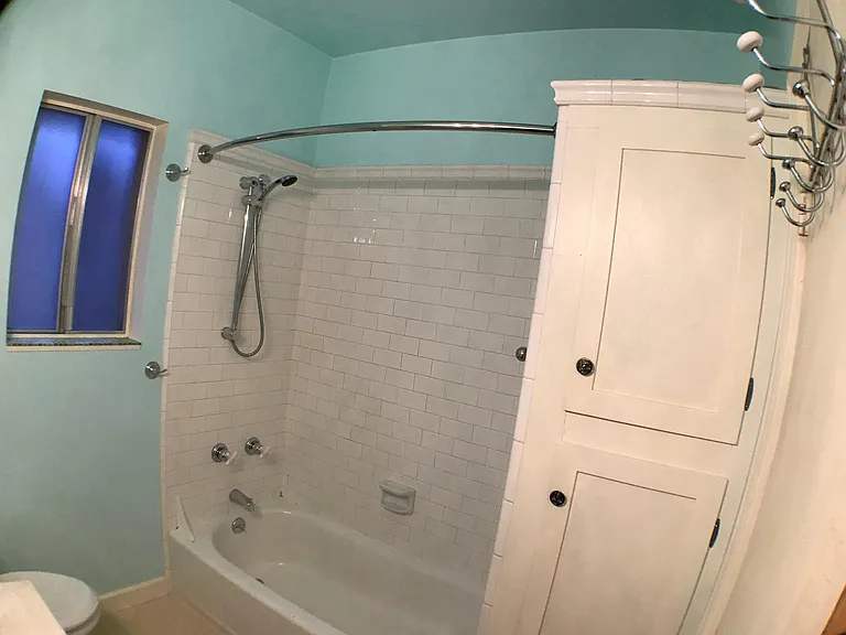 Main bathroom shower and tub.