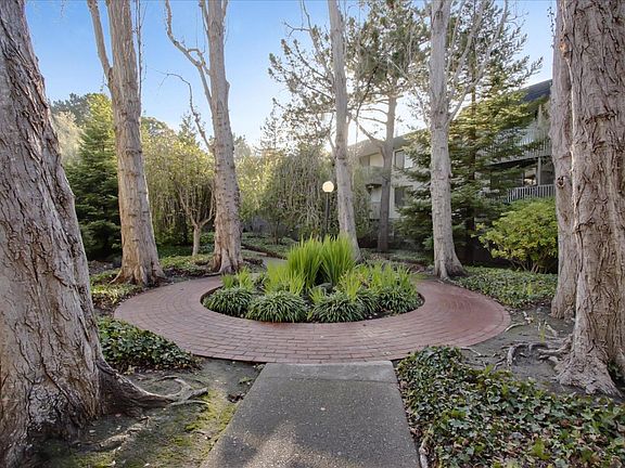3rd image of 5134 Shelter Creek Ln