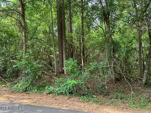 2nd image of Ridgeview Dr Lot 619
